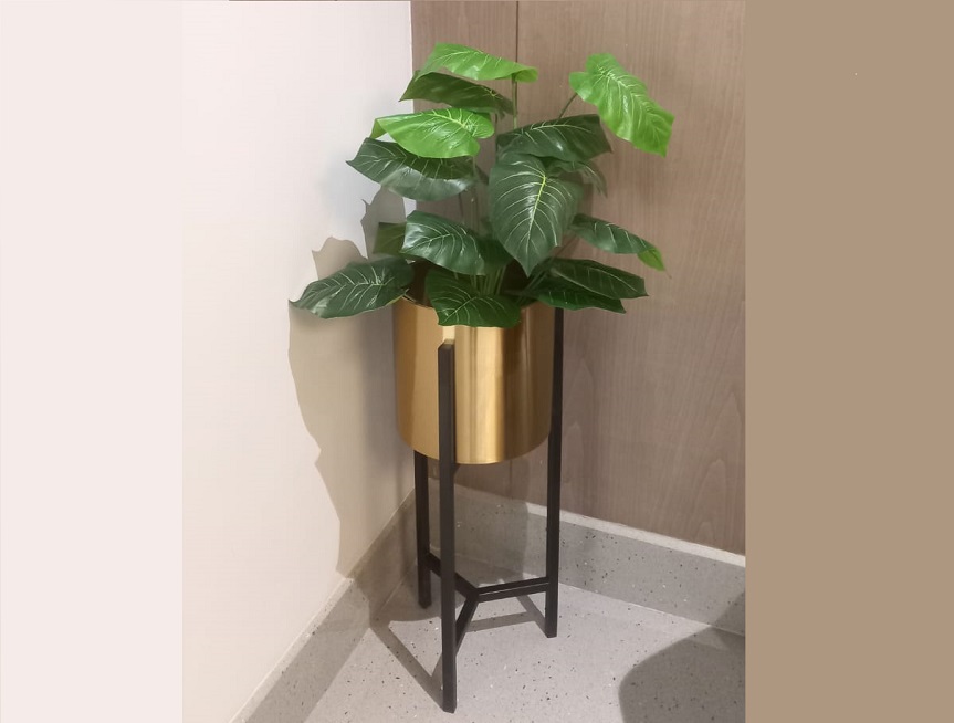 Greenscape Creation